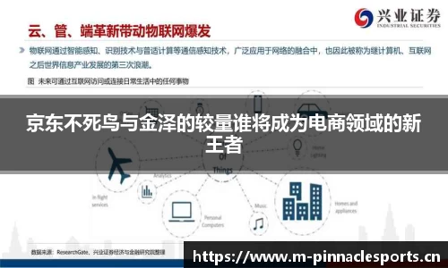 京东不死鸟与金泽的较量谁将成为电商领域的新王者
