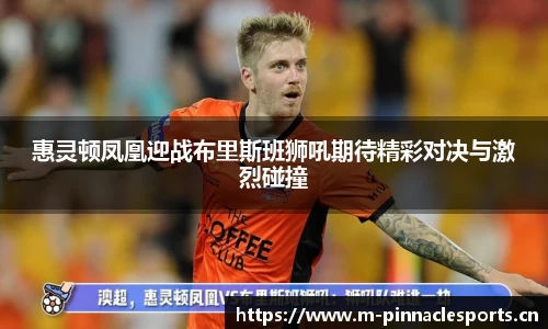 惠灵顿凤凰迎战布里斯班狮吼期待精彩对决与激烈碰撞