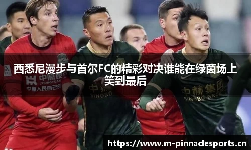 西悉尼漫步与首尔FC的精彩对决谁能在绿茵场上笑到最后