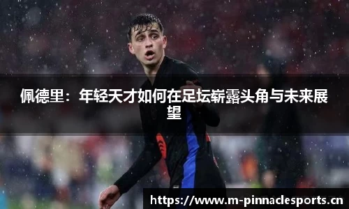佩德里：年轻天才如何在足坛崭露头角与未来展望